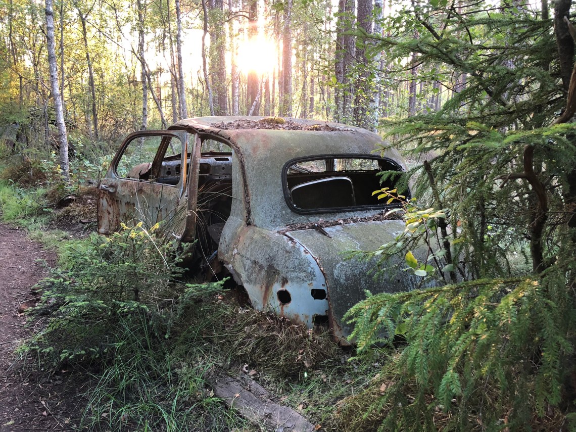 437A0831-5450-4DC8-87B9-414D4DD8E467