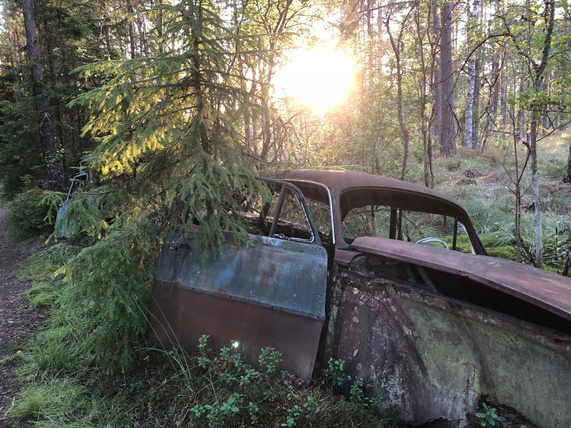 8B82C2FD-6091-4FB5-99B9-9272AF9D22BD