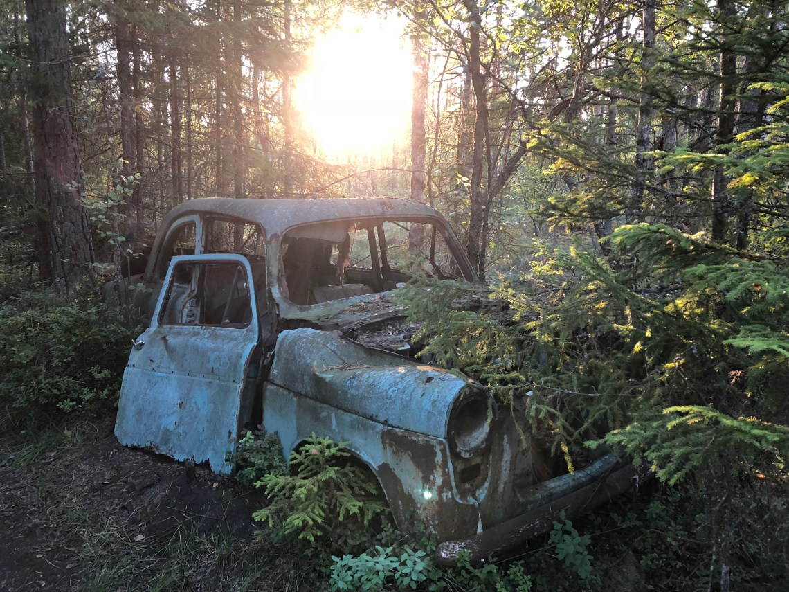 FB2CE0BD-F677-4262-9245-56027394C4EC