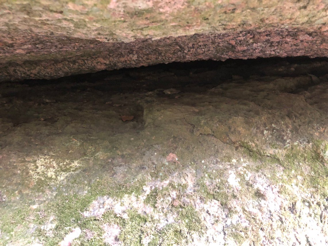 1099DF41-220F-4009-B0A0-9D1CF4495712