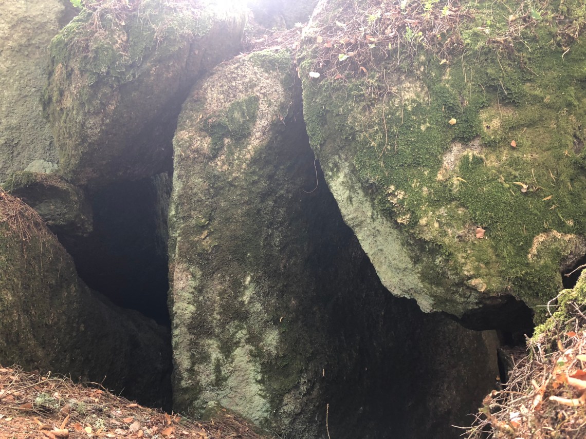 2881854D-CC98-4DAA-BEBD-B09E38498188