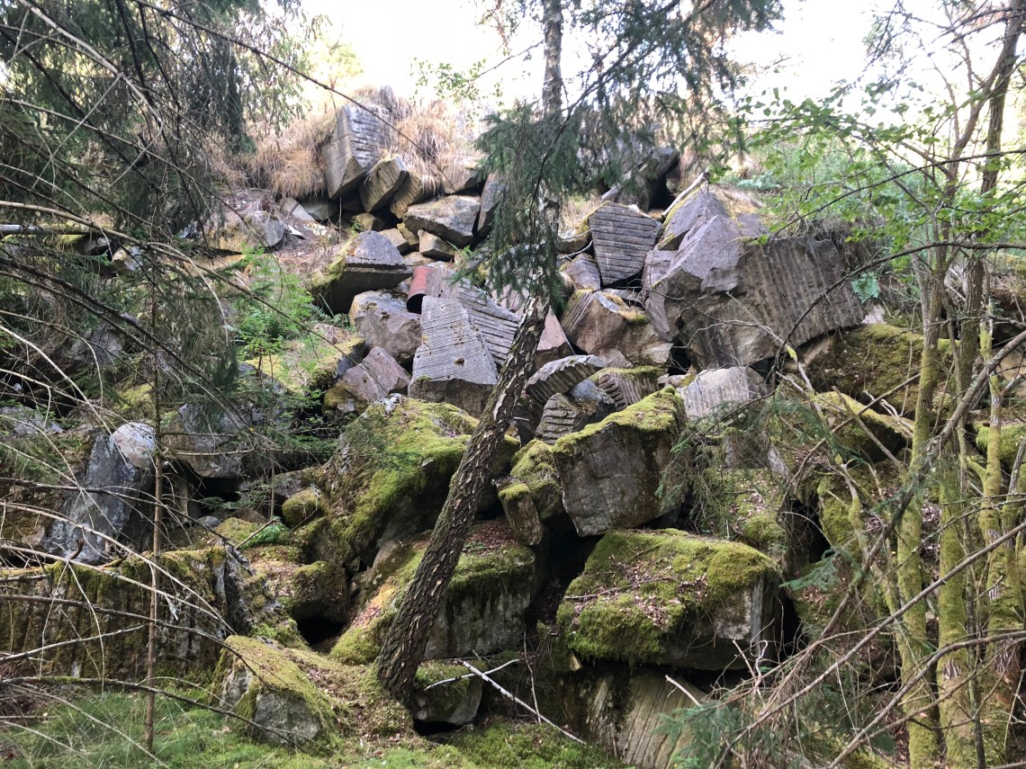 3384EB54-26A2-4819-A373-FC8FF33A51E6