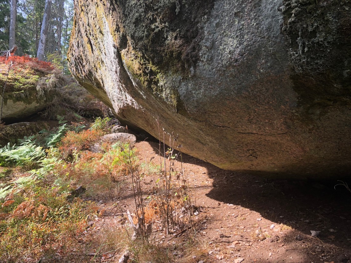 38A6AA9B-F8F3-405E-AEA0-185A9BB9EDF9