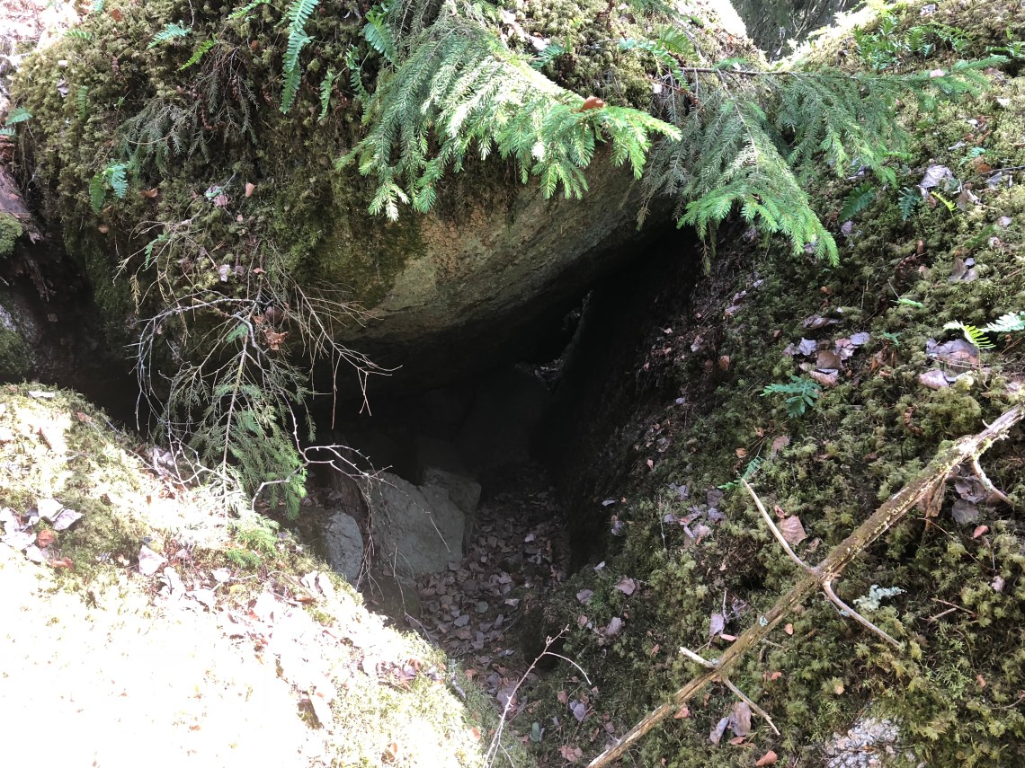 3E7ECF23-7840-4C4F-84C4-3BB1CD7C2F7E