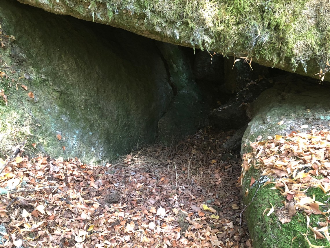 748F666D-0F39-48BF-BD43-42CE1C6ADE55