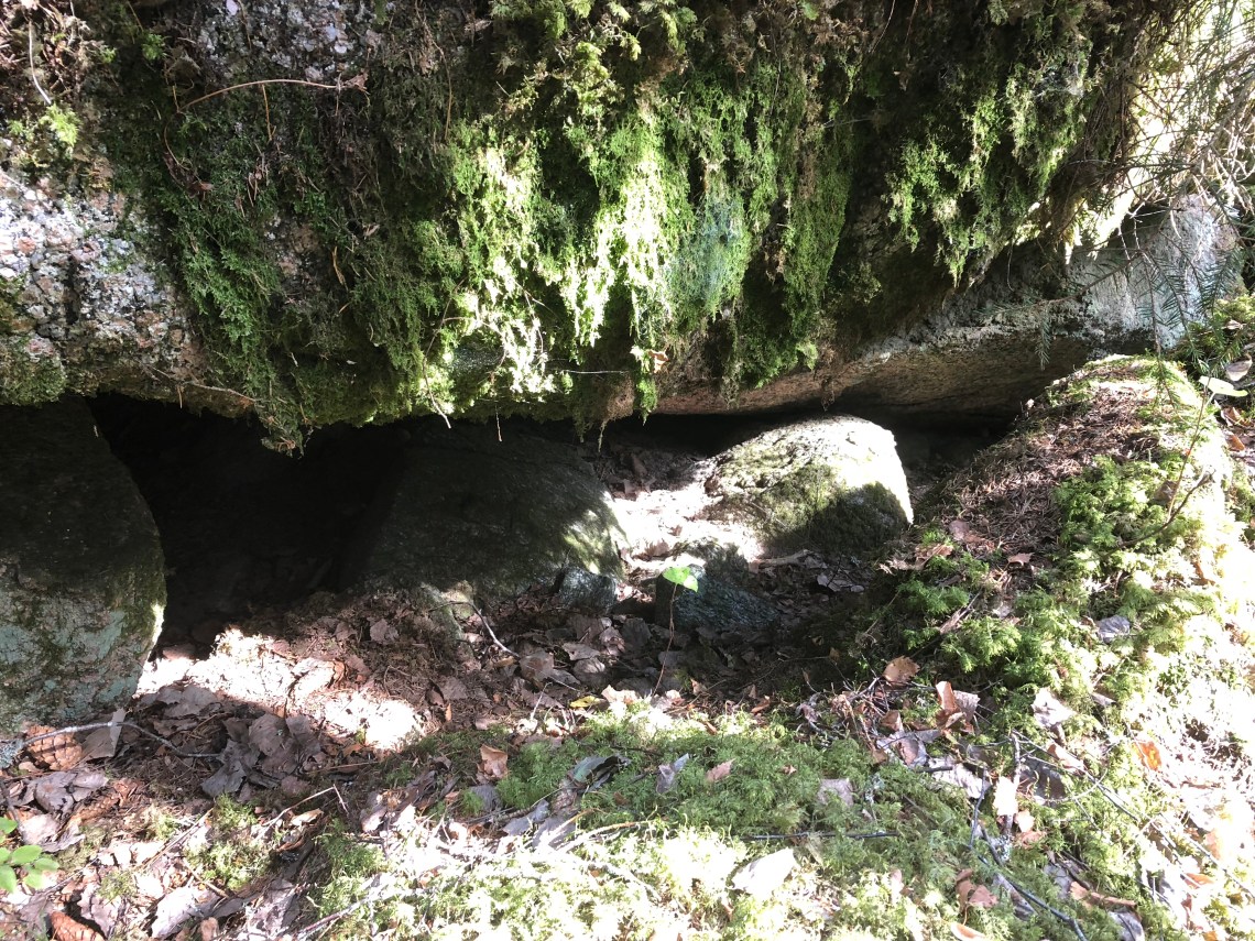 9EBDDCE9-42C8-4646-BA5F-B5CBCE8A1379