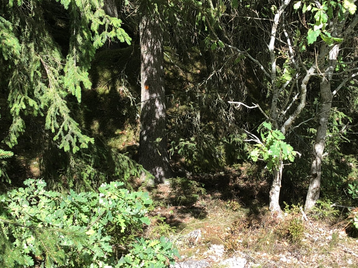 C015EAD5-63C0-42A7-A4DB-BAC9C0684C64