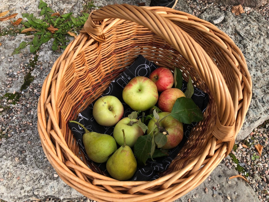 07366773-0D5E-4F94-B897-0A2F6D81EBE3