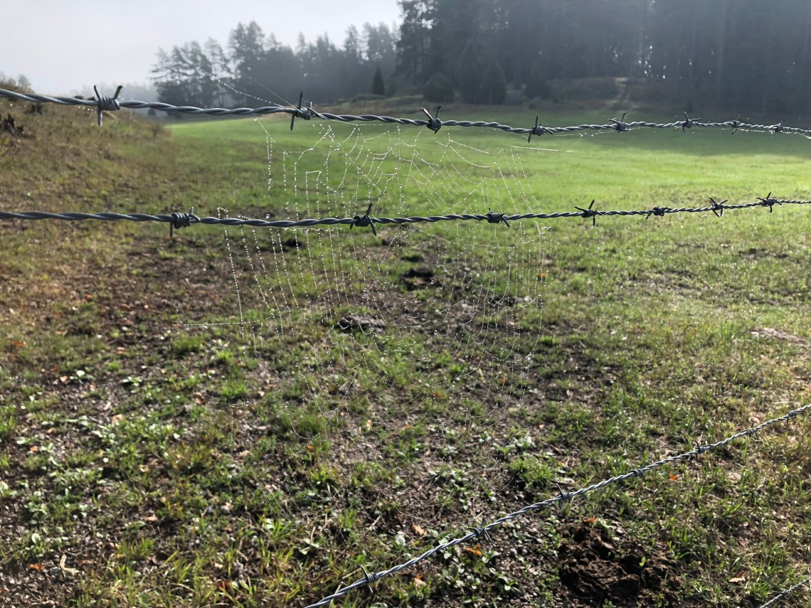 1C04D389-EA3B-4E6D-8DBF-D32515ED1E63