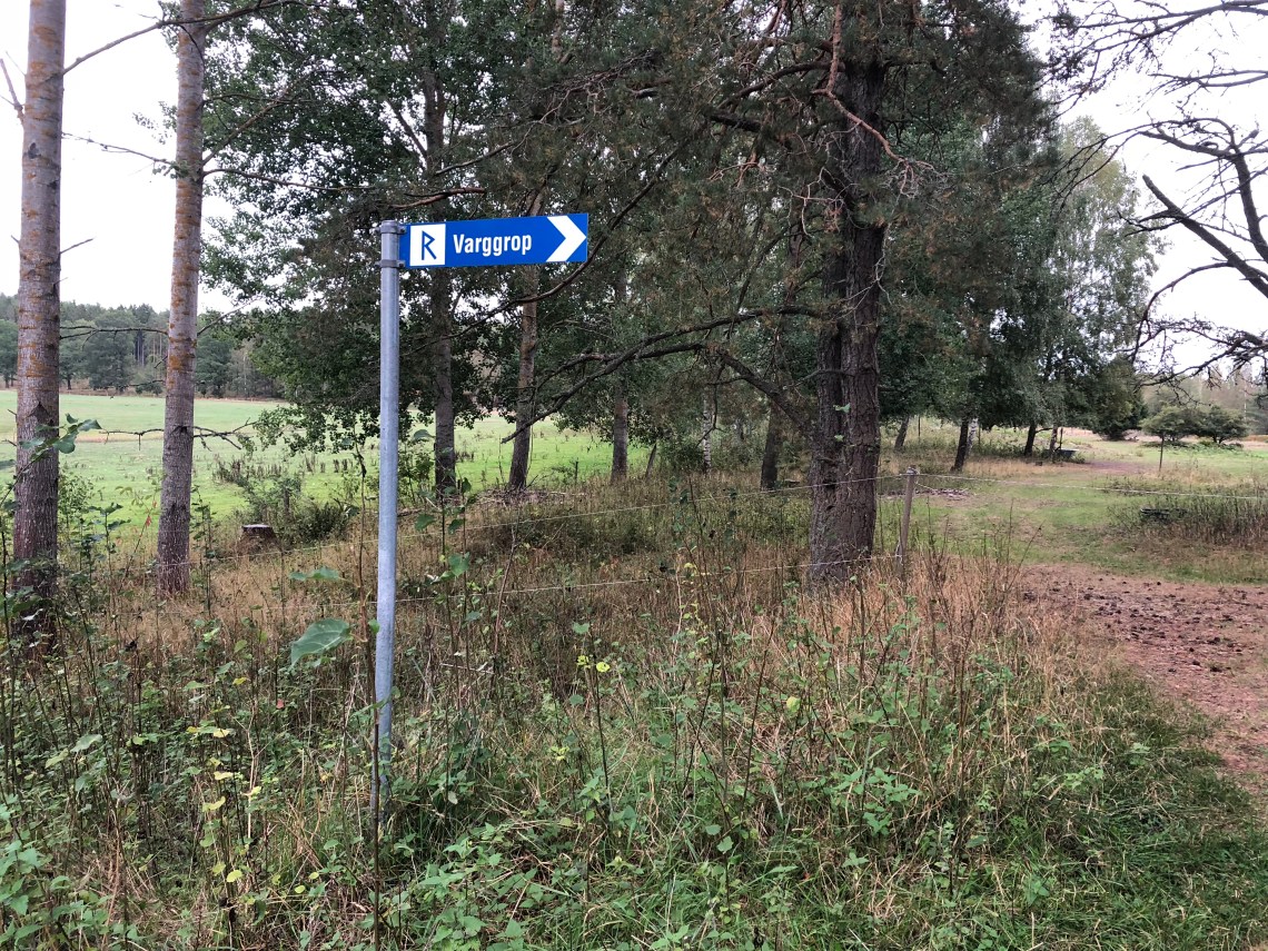 355E7E74-3889-445F-A2EE-58315819C0E5