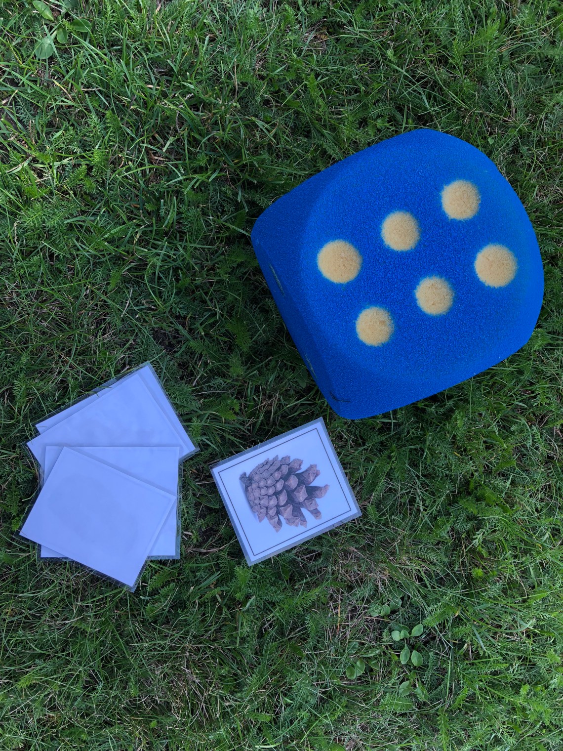 35FAF67E-2F60-4F8B-B2A2-17B439E22FFB