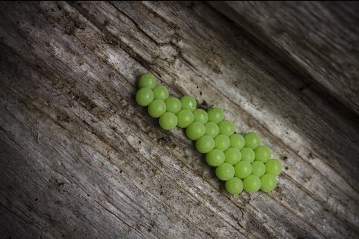 534DE58E-3CEB-4E4C-990F-0C4710F006E5