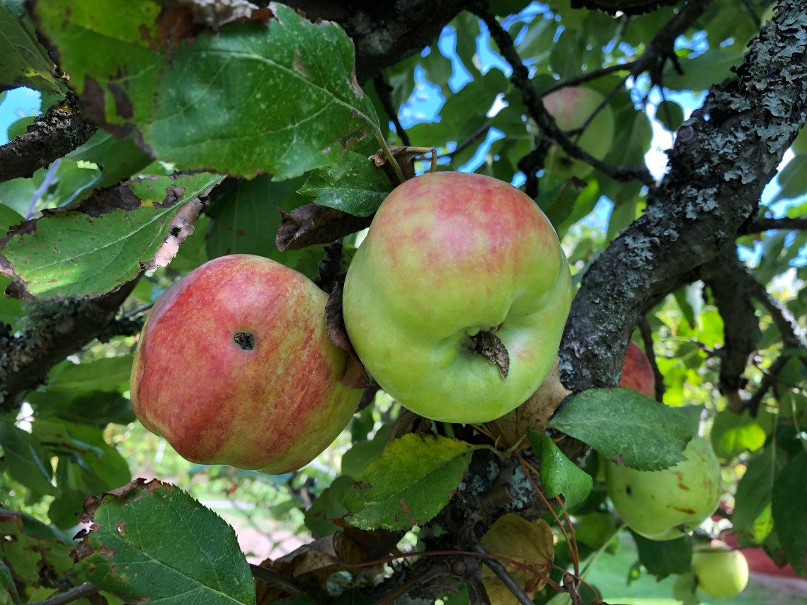 6742A77D-3A29-4D1A-B84B-5F9C57E4C967