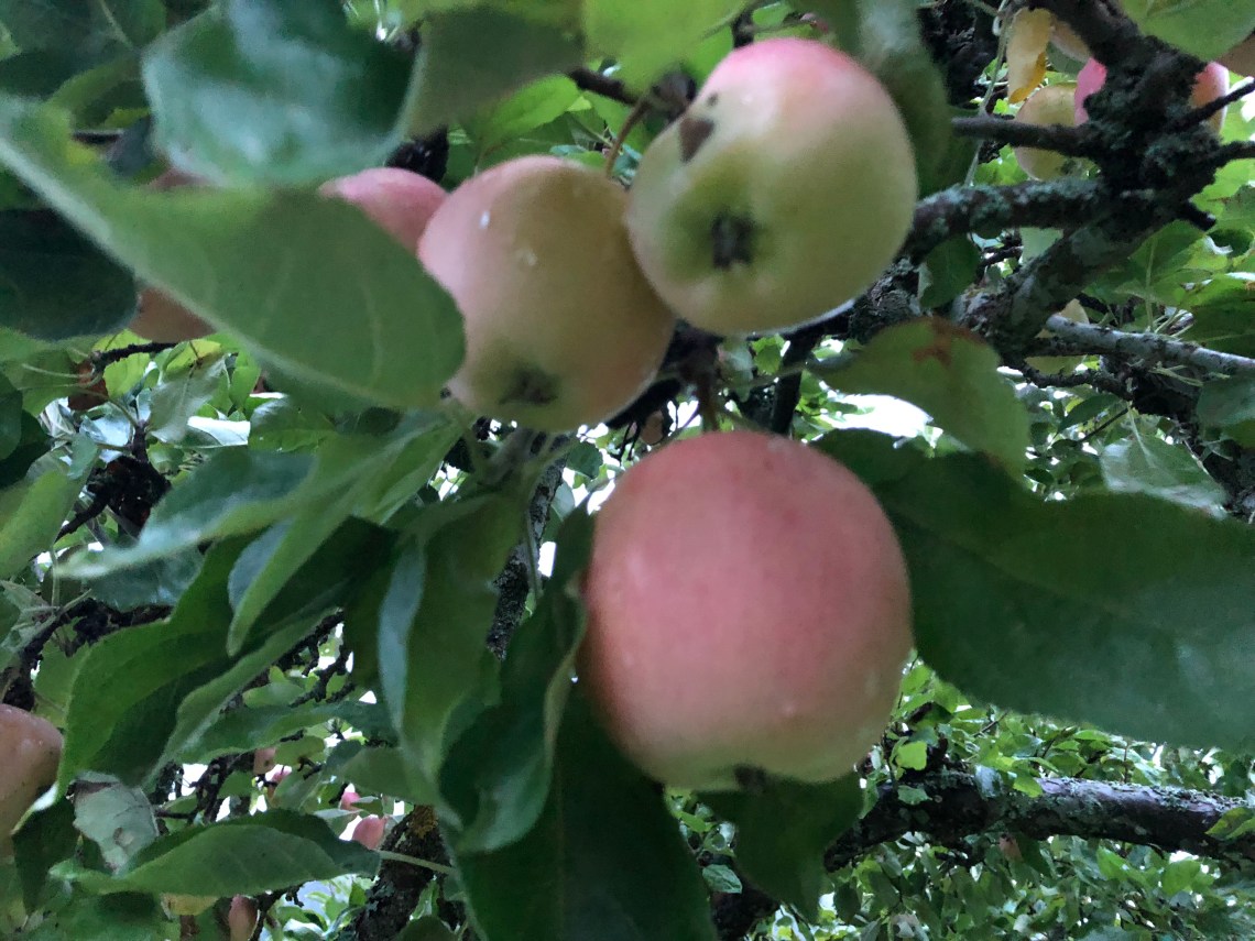 B2C8F5A7-1F7A-42F9-9DB3-853ACC608BAE