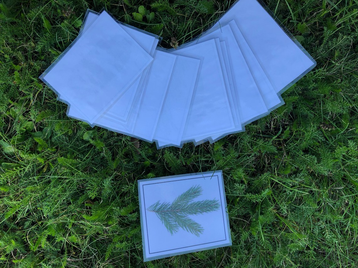 DB3108BB-4B2A-4C61-A770-218C244CC3A1