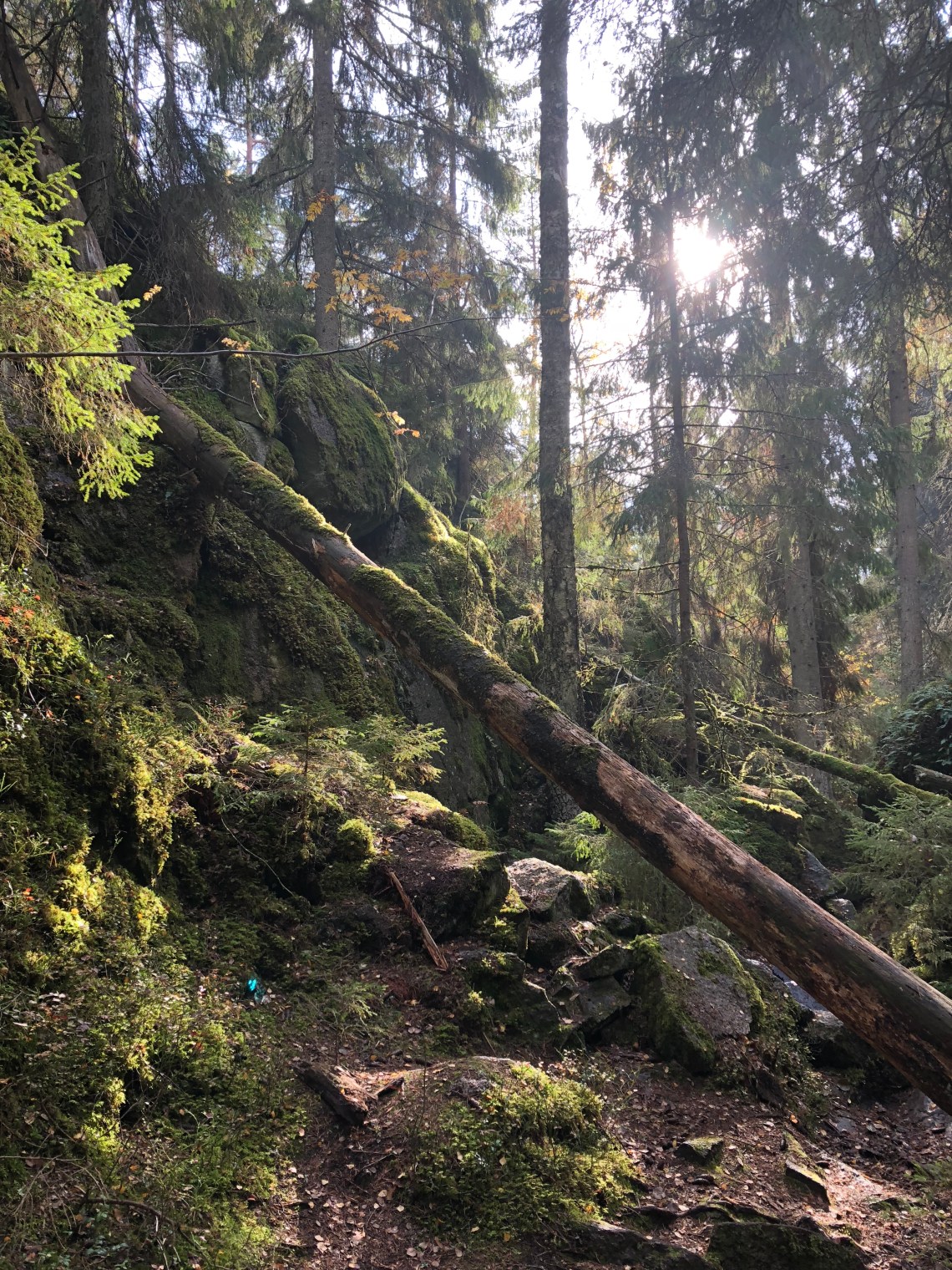 094CC8B9-A277-416E-A4A3-786371D5D022