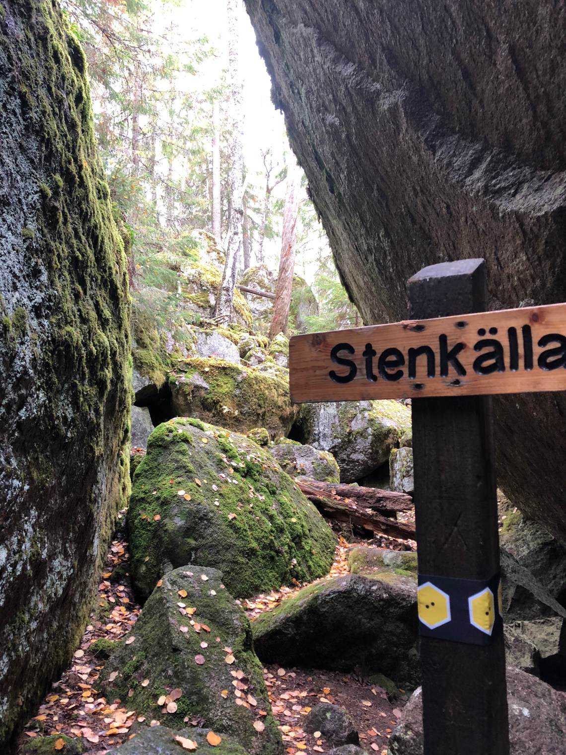 168B08EE-9BED-412B-B5F4-705D11545E7C