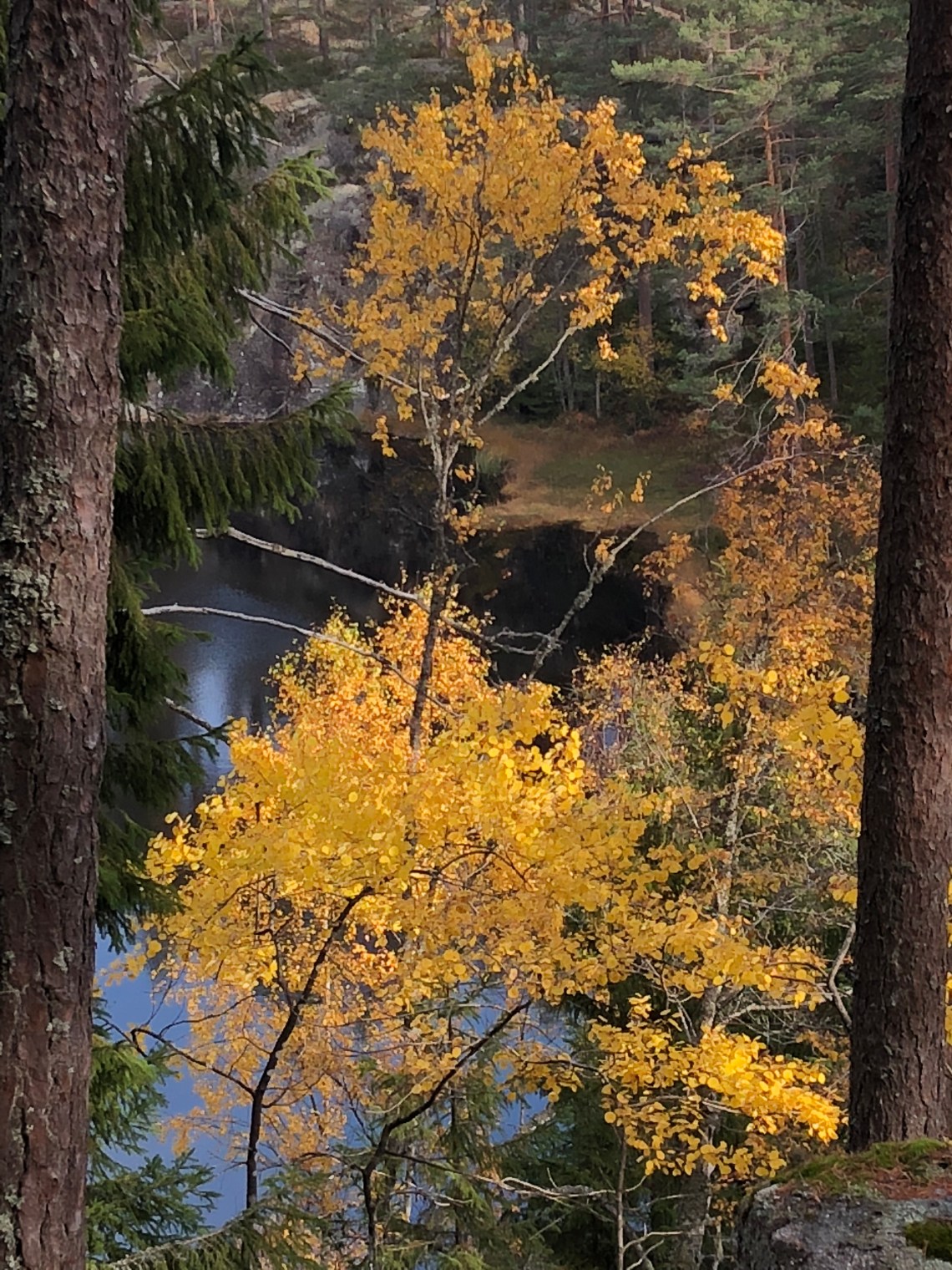 8D243F38-DA6F-4B1E-84BF-B5162990D17C