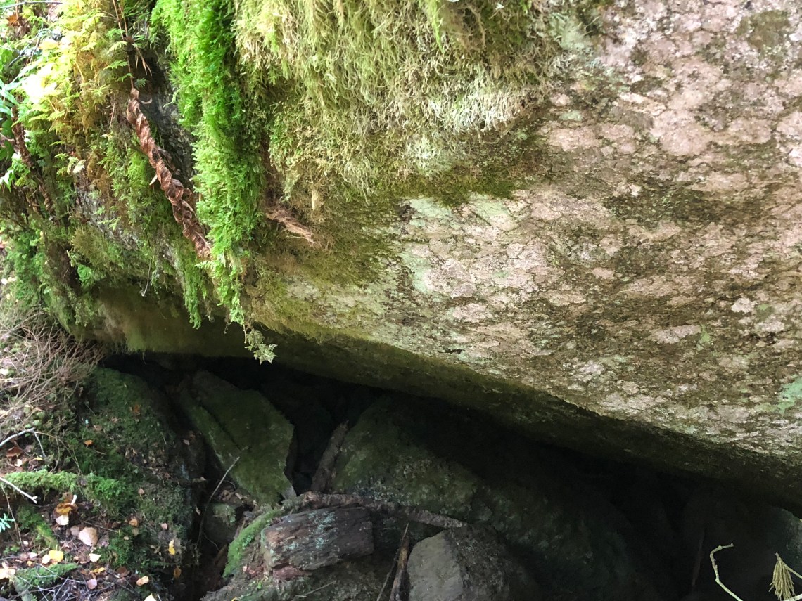 BB888005-037B-45D5-9AEC-BEF77455024F