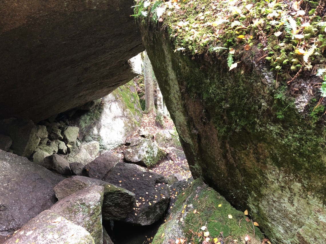 FD03ADF7-602D-44F8-8431-A60CBFF995AE